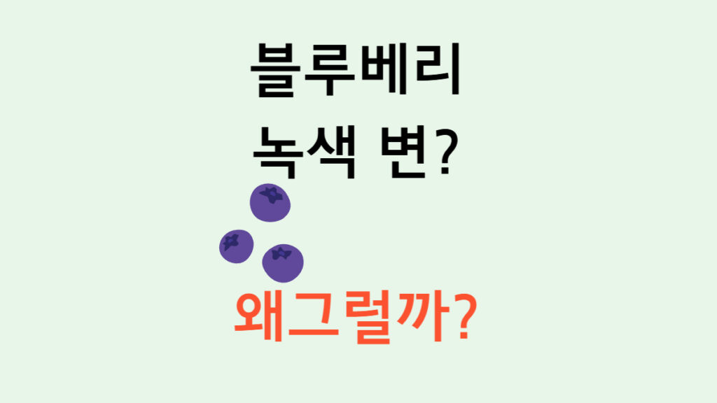 블루베리 녹색 변? 왜그럴까? 텍스트 이미지