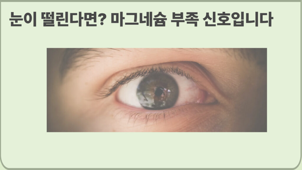마그네슘 부족 증상 7가지 눈떨림 근육경련 수면장애 정보 이미지