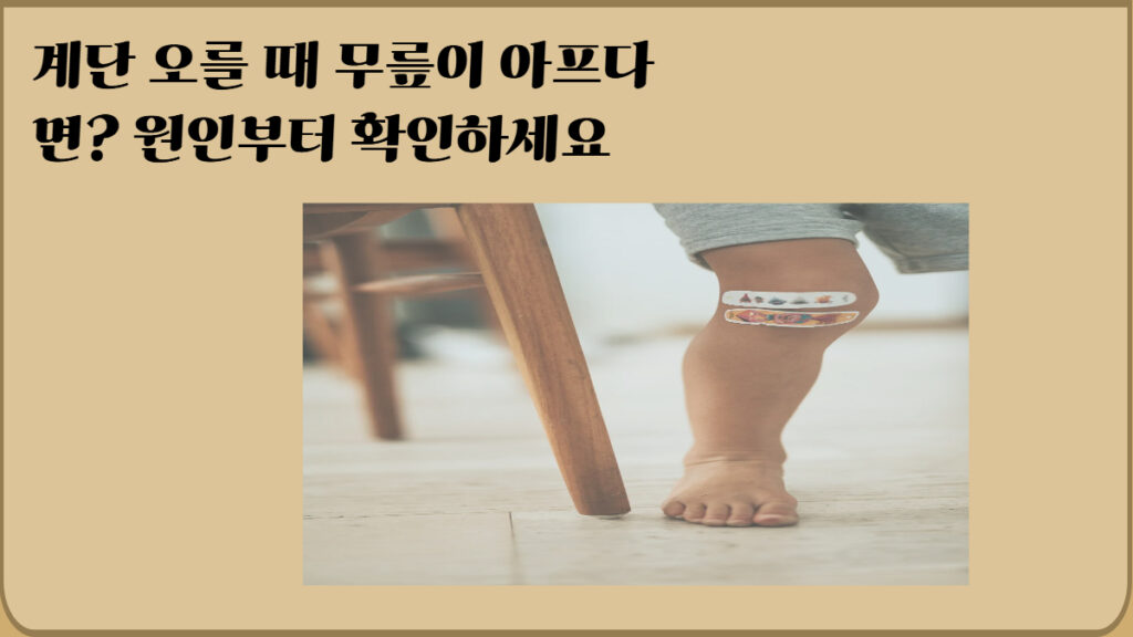 무릎 통증 원인 6가지 계단 오를때 아픈 이유 자가관리법 정보 이미지