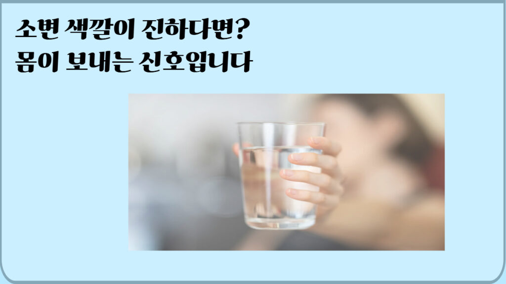 소변 색깔로 보는 건강 신호 색깔별 의미 비교 정보 이미지