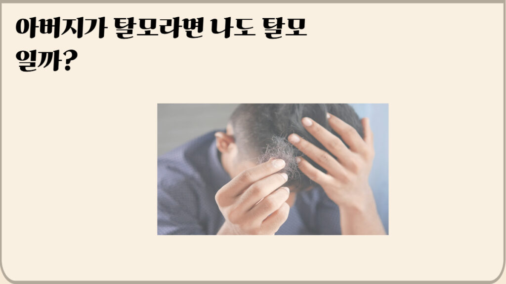 탈모 원인 7가지 유전 예방법 두피 관리 정보 이미지